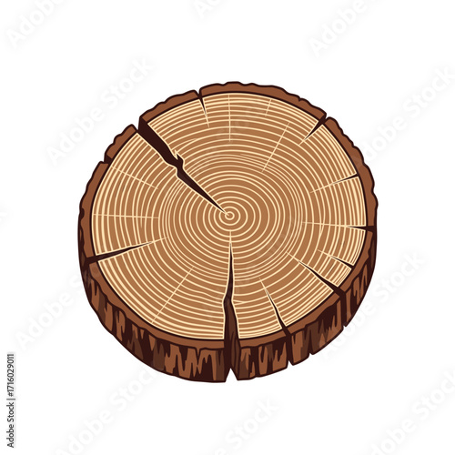 A close up view of a cracked cross section of a tree trunk showing its growth rings.