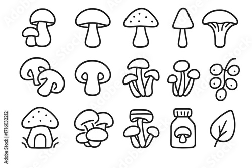 Mushroom icon set, fungi line art. Vector outline symbols. Champignon, porcini, chanterelle. Forest food. Minimalist illustration for web, apps, logo, infographic.