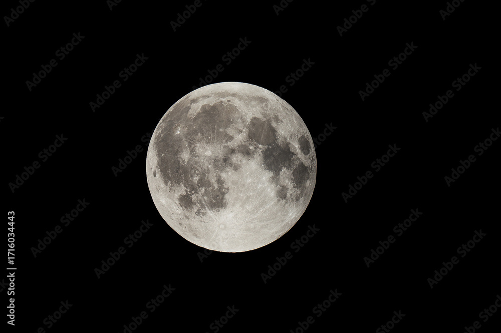 Obraz premium Holi Hindu heritage. Lunar New Year. Prahlad and Holika. Easter. Ramadan and Eid. Rosh Hashanah.