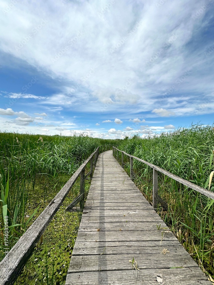 Obraz premium wooden promenade over the lake