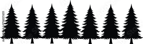 Black conifer tree silhouettes in straight row, forest vector illustration for nature design, minimal evergreen landscape, woodland graphic art pattern