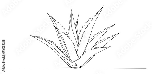 aloe vera plant continuous one line drawing