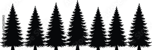 Black pine tree silhouettes in symmetrical row, forest vector illustration for nature design, minimal landscape, evergreen woodland, seasonal graphic art