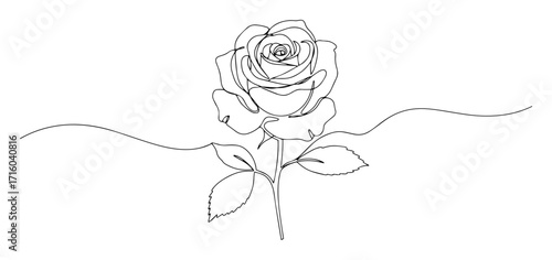 rose blossom thin outline monoline lineart vector engraving