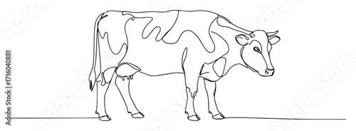 spotted dairy cow continuous one line drawing