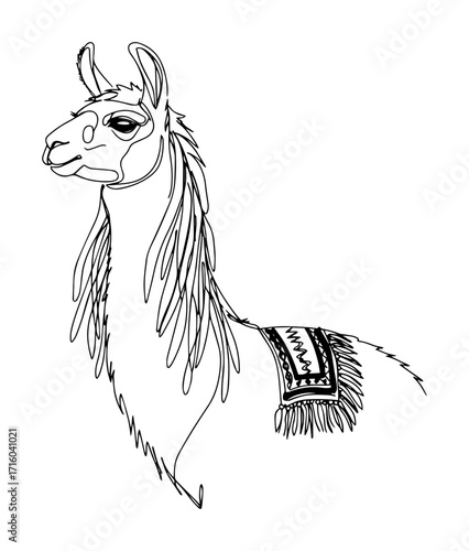 peruvian llama side view one continuous line drawing