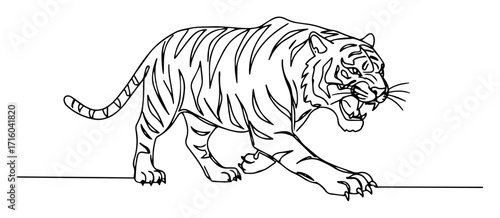 tiger walking aggressive pose monoline thin lineart vector illustration
