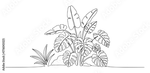 lush banana monstera philodendron jungle plant cluster minimal continuous line art vector linework