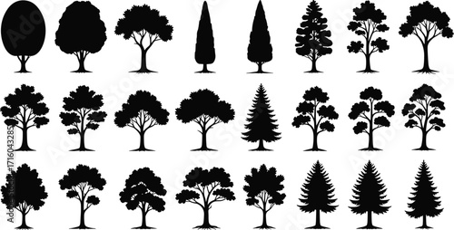 Black tree silhouette collection with diverse foliage styles, botanical shapes, seasonal nature elements, forest design references for vector illustration use