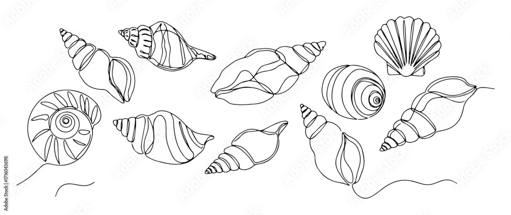 Fototapeta premium seashells collection set continuous one line drawing vector marine illustration