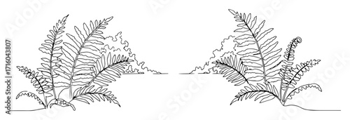 pair of fern fronds elegant foliage continuous line drawing monoline vector