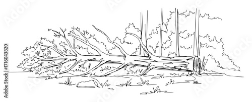 fallen tree trunk in dense forest landscape monoline thin lineart vector design