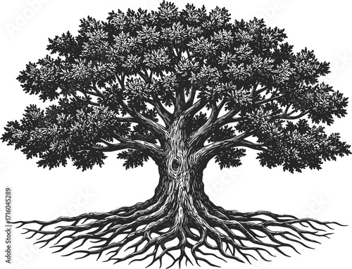 Black tree silhouette with detailed roots and canopy, botanical vector illustration for nature design, growth concept, minimal landscape graphic art