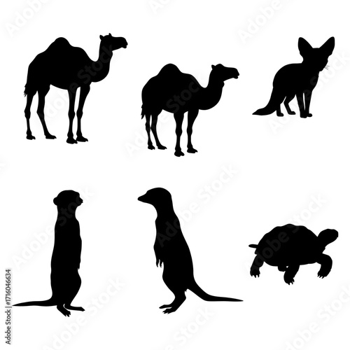Silhouettes of various desert animals including camels, meerkats, a fox, and a tortoise