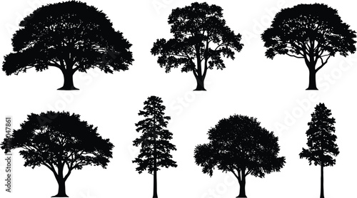 Black tree silhouettes in various shapes, botanical vector illustration for nature design, forest comparison, minimal landscape, foliage graphic art element