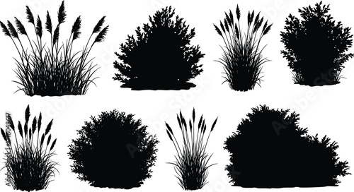 Bush and grass silhouette vector set with tall foliage, shrubs, and wild plants for nature, landscape, garden, and design themes