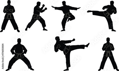 Martial arts silhouettes, karate poses, taekwondo stances, self defense training, martial artist kicking, punching action, combat sports illustration, dojo practice,
