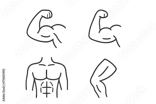 Muscle icon set vector collection. Bicep flex arm, male torso abs, and leg muscle outline. Simple linear anatomy symbols for fitness, gym, strength, and bodybuilding. Editable stroke.