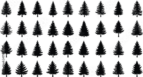 Collection of 35 Pine Tree Silhouettes with Unique Shapes for Forest Design, Nature Art, Botanical Study, and Vector Illustration Use