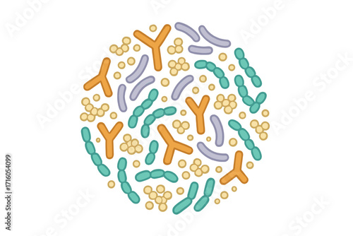 Microbiome round shape concept. Probiotic bacteria vector background. Gut flora with bifidobacterium, lactobacillus, streptococcus. Healthy digestion and gut health.