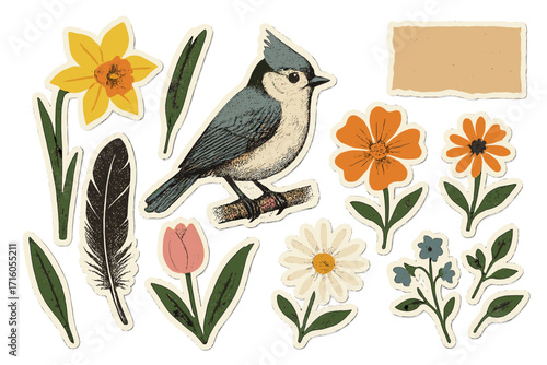 Spring collage cut out set. Titmouse bird, flower, feather shapes. Abstract floral paper clipping elements. Torn paper, grunge halftone texture. Modern retro zine style stickers.