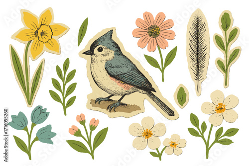 Titmouse bird and spring flowers collage set. Modern retro halftone art with paper clipping shapes. Grunge mixed media vector illustration of floral stickers with torn paper.