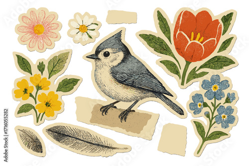 Spring flowers collage kit. Titmouse bird, feather, floral sticker set. Retro paper clipping shapes. Halftone grunge texture. Modern vintage mixed media art vector elements.