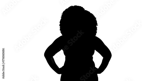 Confident woman with voluminous afro hairstyle stands with hands on hips projecting strength and empowerment for modern business and lifestyle concepts