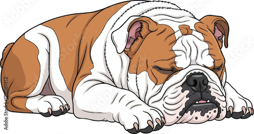 English Bulldog lying down sleeping pose cute vector illustration