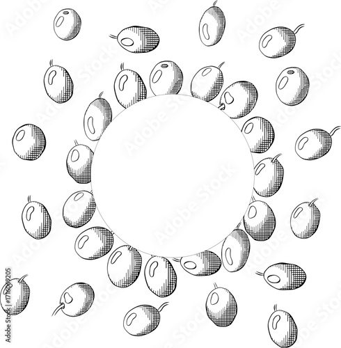 Hand drawn wreath with ripe Olive berry circle round frame template. Vector graphic line ink black and white illustration. Banner, poster, wrapping paper, sticker, print, modern textile design.