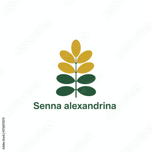 vector logo herbal plants