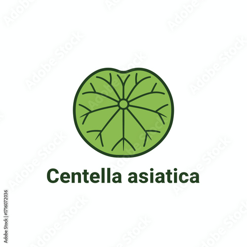 minimal vector logo centella asiatica