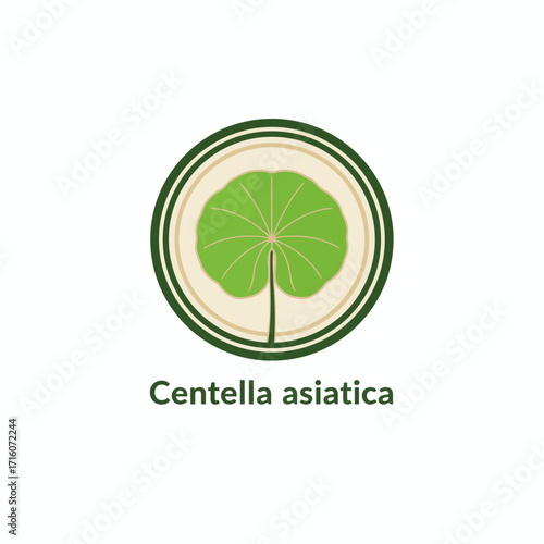 minimal vector logo centella asiatica