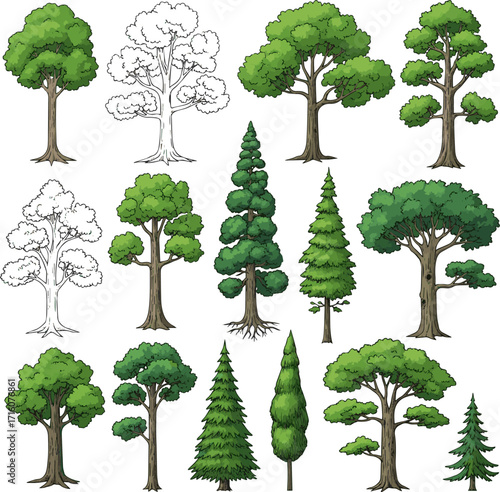  Create a kinds of deferent Set of hand drawn illustrations of various kinds of green trees vector art with white background..