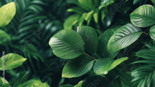 Lush Green Foliage: Intricate leaves in varying shades of green create a mesmerizing tapestry of natural beauty, inviting the viewer to immerse themselves in the tranquil, eco-friendly environment.