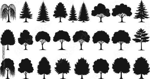 Collection of various tree silhouettes in black vector style, botanical illustration set, nature concept, isolated design for educational artwork