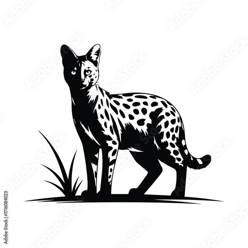Elegant Serval Cat Illustration in Striking Black and White Graphic Design for Print and Digital Use
