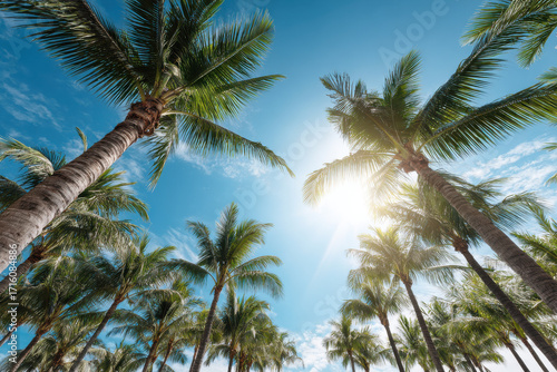 Wallpaper Mural capture essence of bali with stunning landscape of tall palm trees swaying gently against clear ultrabright sky Torontodigital.ca