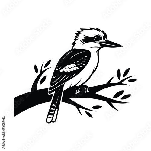 Kookaburra bird illustration in black and white sitting on branch in nature art