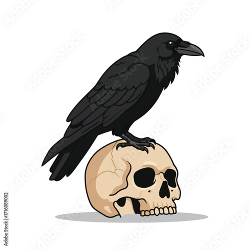 Gothic Black Raven Perched on a Human Skull.