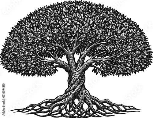 Detailed Tree Silhouette with Exposed Roots and Full Canopy in Vector Format for Nature, Botanical, Abstract, Artistic, and Spiritual Design