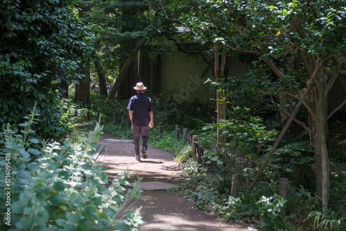 緑豊かな森の小道をひとり歩く人物
Person Walking Alone on a Forest Path Surrounded by Lush Greenery