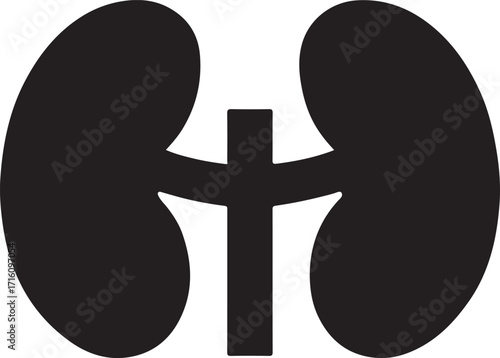 Silhouette kidney glyph icon for anatomy, medical, health, urinary system, and biology use.