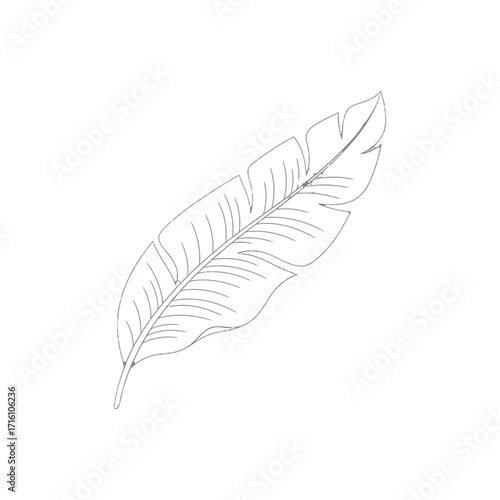 Detailed illustration of a tropical leaf showcasing its intricate vein patterns and natural curves
