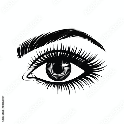 Stylized black and white vector illustration of a realistic human eye with detailed lashes silhouette vector illustration white background