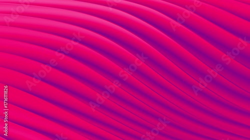 Looping animated background with smooth wave like motion in vibrant multicolor tones. Soft and elegant flowing design that appears shiny and shimmering. motion graphics, digital art, creative design.