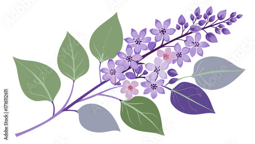 Vector art of a beautiful sprig of lilac flowers, with delicate purple blossoms and lush green leaves, perfect for spring designs