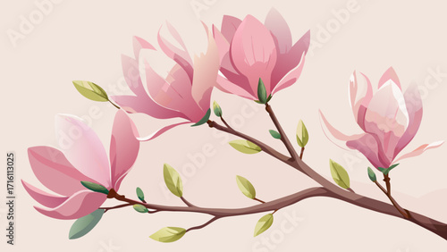 Vector art of delicate magnolia branch with blooming pink flowers, showcasing the beauty of spring in a soft and elegant floral composition