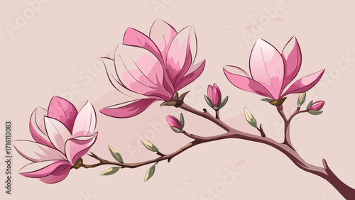 Vector art of elegant magnolia branch with blooming pink flowers, showcasing the beauty of spring in a soft and elegant floral composition