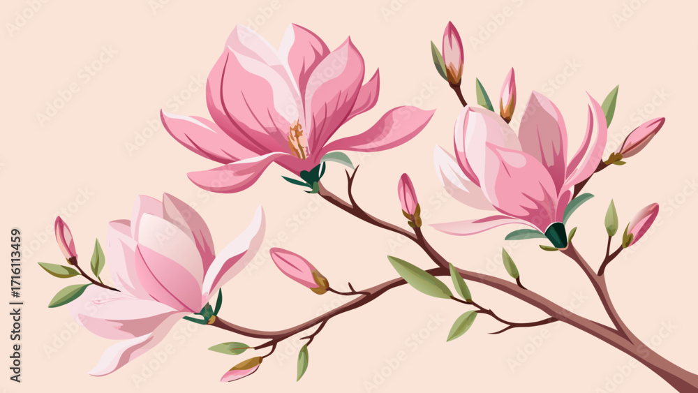 Obraz premium Vector art of beautiful magnolia branch with pink flowers and buds, a watercolor illustration on a light pink background, a delicate floral design element
